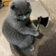 头像