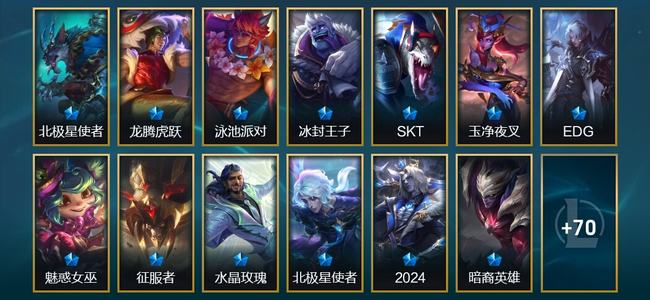 英雄联盟（LOL）8臻彩 13限定 8传说 83皮肤 28炫彩 167英雄 翡翠
