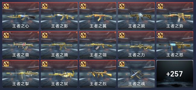 穿越火线：枪战王者V9 42王者 254英雄武器 17英雄角色 497万化 枪圣SSS