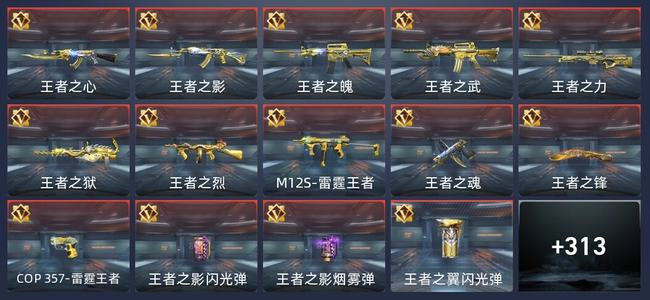 穿越火线：枪战王者V9 28王者 310英雄武器 17英雄角色 595万化 专家S