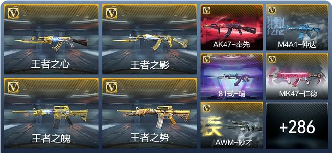 穿越火线：枪战王者V8 16王者武器 295英雄武器 10英雄角色 589万化 专家S