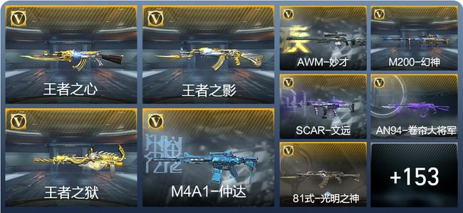 穿越火线：枪战王者V2 5王者武器 197英雄武器 2英雄角色 349万化 枪王S