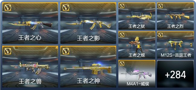 穿越火线：枪战王者13王者武器 293英雄武器 9英雄角色 519万化 枪王S