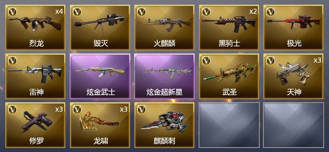 穿越火线（CF）2炫金武器 21V武器 2皮肤 可排位 新锐