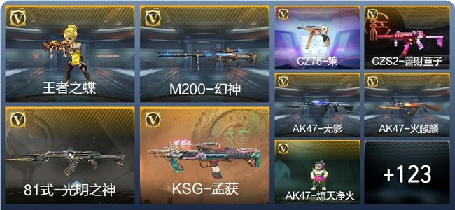 穿越火线：枪战王者V2 3王者武器 146英雄武器 26英雄角色 289万化 枪皇S