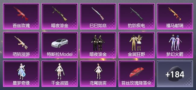 和平精英1载具 6升级枪 6粉装 1尾迹 143枪皮 120套装 4,9473热力 7印记