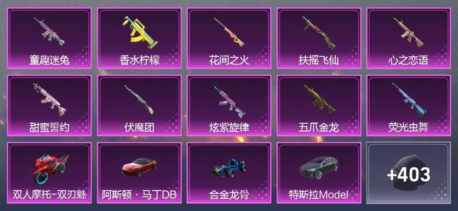 和平精英【苹果版】5载具 10升级枪 21粉装 8尾迹 227套装 105377热力 18印记