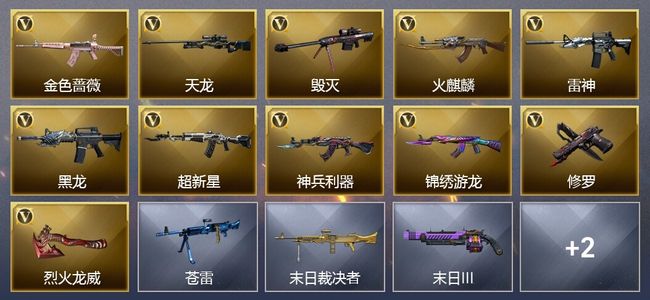 穿越火线（CF）11V武器 11皮肤 可排位 专家