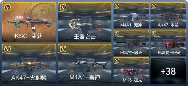 穿越火线：枪战王者V1 1王者武器 52英雄武器 95万化 专家S