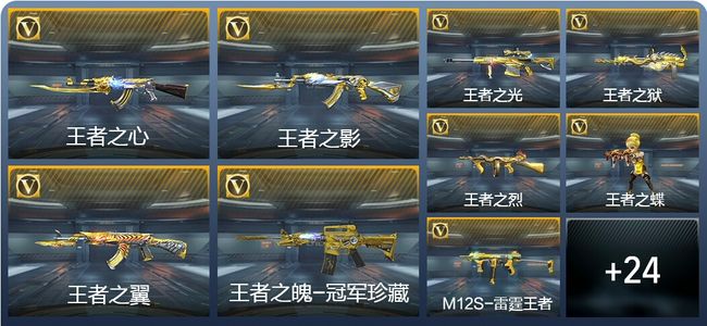 穿越火线：枪战王者V9 45王者武器 210英雄武器 新锐