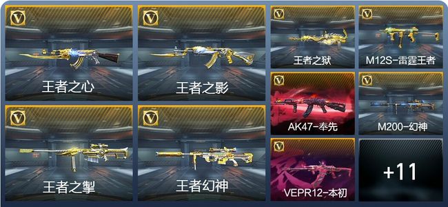 穿越火线：枪战王者V8 19王者武器 201英雄武器 新锐