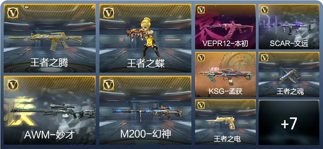 穿越火线：枪战王者【苹果版】V9 54王者武器 227英雄武器 新锐