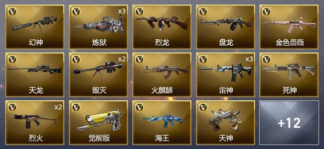 穿越火线（CF）34V武器 2V角色 12皮肤 可排位 新锐