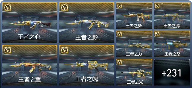 穿越火线：枪战王者V9 37王者武器 240英雄武器 10英雄角色 289万化 传奇