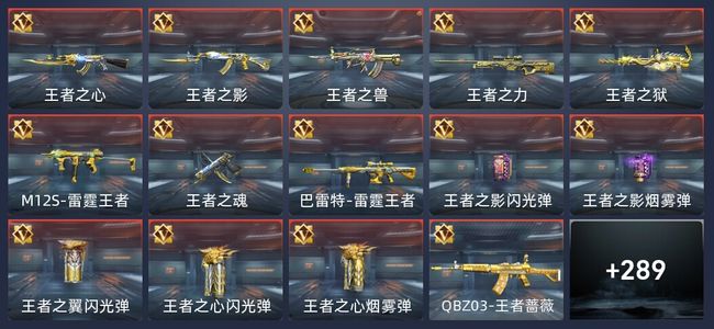 穿越火线：枪战王者25王者 291英雄武器 12英雄角色 566万化 新锐