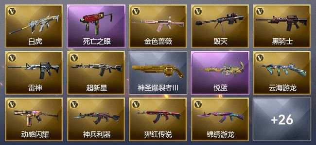 穿越火线（CF）1王者武器 18V武器 11皮肤 可排位 新锐