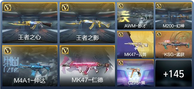 穿越火线：枪战王者V5 4王者武器 167英雄武器 1英雄角色 406万化 枪王S