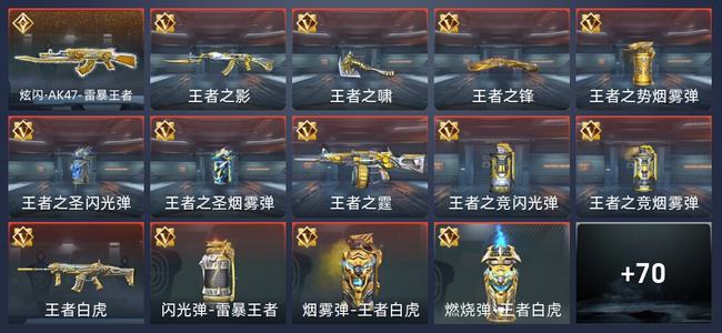 穿越火线：枪战王者V6 1炫闪 14王者 80英雄武器 4英雄角色 97万化 新锐