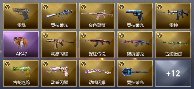 穿越火线（CF）37V武器 1V角色 8皮肤 可排位 专家