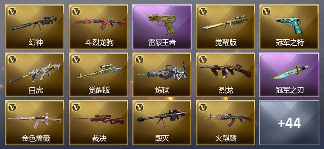 穿越火线（CF）6王者武器 41V武器 3V角色 35皮肤 可排位 新锐