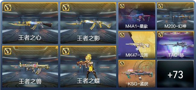 穿越火线：枪战王者10王者武器 222英雄武器 6英雄角色 新锐