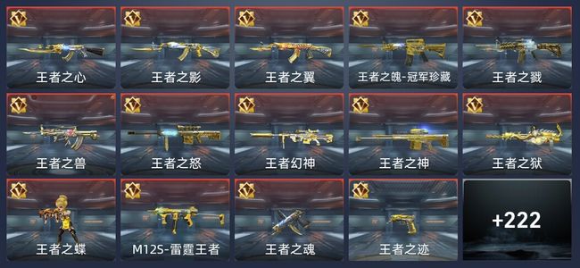 穿越火线：枪战王者30王者 377英雄武器 16英雄角色 新锐
