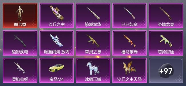 和平精英【苹果版】2载具 0升级枪 6粉装 0尾迹 175套装 0热力 19印记