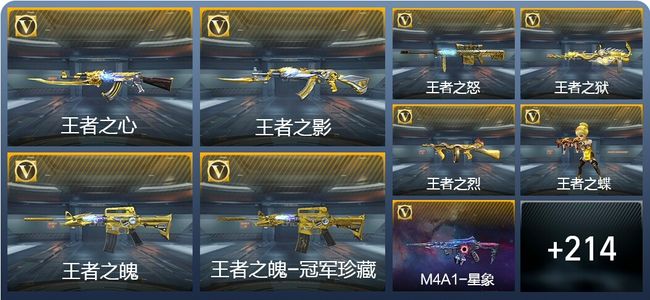 穿越火线：枪战王者V9 19王者武器 242英雄武器 6英雄角色 503万化 枪皇