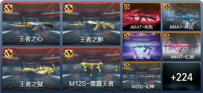 穿越火线：枪战王者V8 19王者 272英雄武器 4英雄角色 442万化 枪王SSS