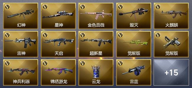 穿越火线（CF）24V武器 2V角色 9皮肤 可排位 专家