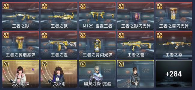 穿越火线：枪战王者V7 10王者 290英雄武器 8英雄角色 493万化 新锐