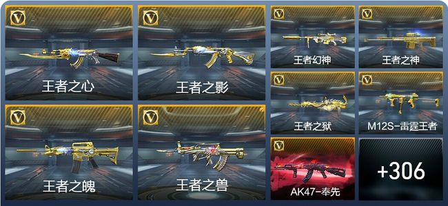 穿越火线：枪战王者V8 29王者武器 315英雄武器 7英雄角色 709万化 枪王SSS