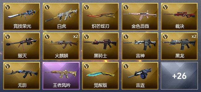 穿越火线（CF）2传说武器 2王者武器 38V武器 2V角色 12皮肤 可排位