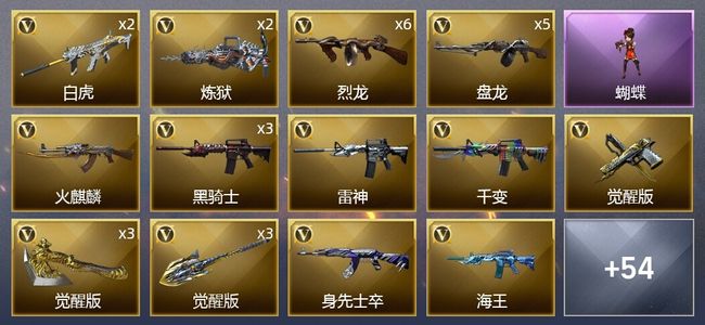 穿越火线（CF）3王者武器 76V武器 1V角色 7皮肤 可排位 新锐