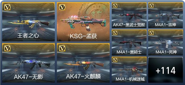 穿越火线：枪战王者1王者武器 136英雄武器 5英雄角色 166万化 专家S