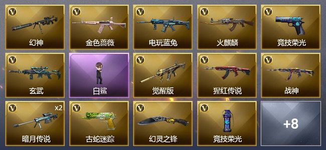 穿越火线（CF）25V武器 10皮肤 可排位