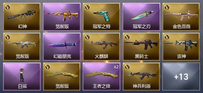 穿越火线（CF）5王者武器 14V武器 11皮肤 可排位 专家
