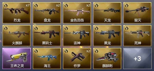穿越火线（CF）1王者武器 23V武器 1皮肤 可排位 新锐