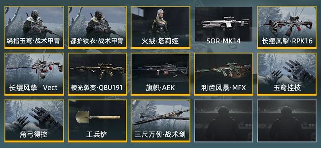 暗区突围库存价值7.3M 2手套 2近战武器 3金套装 6金枪皮 信誉5级 暗区传说