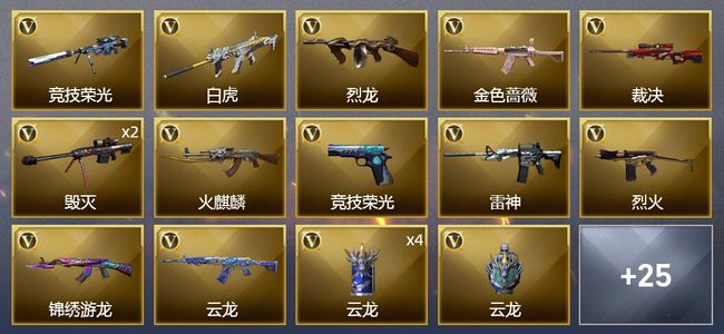 穿越火线（CF）1王者武器 45V武器 7皮肤 可排位