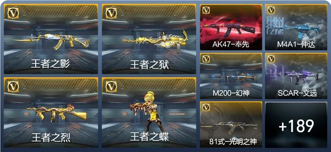 穿越火线：枪战王者V6 9王者武器 214英雄武器 6英雄角色 367万化 枪王SSS