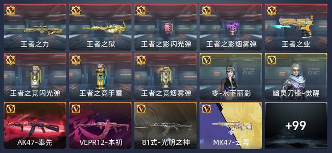 穿越火线：枪战王者V6 8王者 111英雄武器 2英雄角色 146万化 新锐