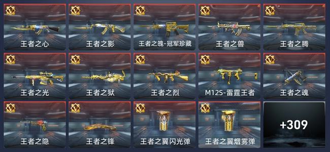 穿越火线：枪战王者V9 33王者 309英雄武器 14英雄角色 358万化 枪神