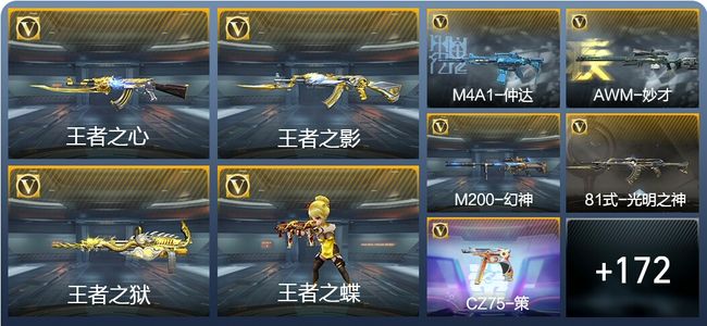 穿越火线：枪战王者V6 16王者武器 212英雄武器 5英雄角色 280万化 大师SS