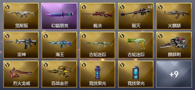 穿越火线（CF）23V武器 4皮肤 可排位 传奇