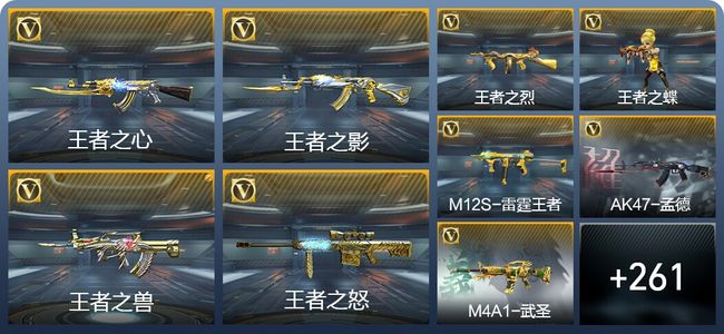 穿越火线：枪战王者14王者武器 270英雄武器 12英雄角色 523万化 枪圣S