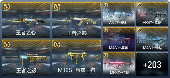 穿越火线：枪战王者V8 20王者武器 227英雄武器 6英雄角色 549万化 枪皇S