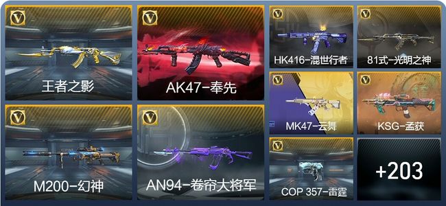 穿越火线：枪战王者14王者武器 212英雄武器 5英雄角色 438万化 专家S