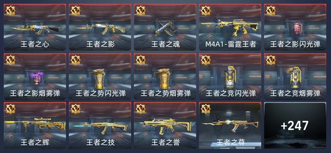 穿越火线：枪战王者V7 18王者 256英雄武器 5英雄角色 493万化 专家S