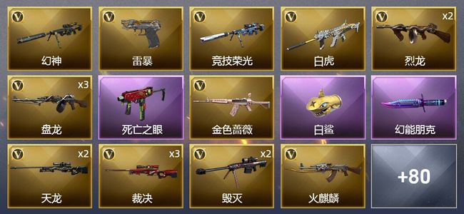 穿越火线（CF）4王者武器 6炫金武器 119V武器 4V角色 39皮肤 可排位 专家